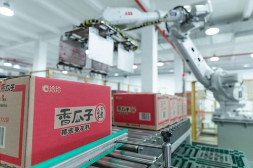 創新驅動，洽洽食品以高質量發展引領未來
