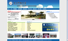 網(wǎng)站建設(shè)需求分析與實施指南